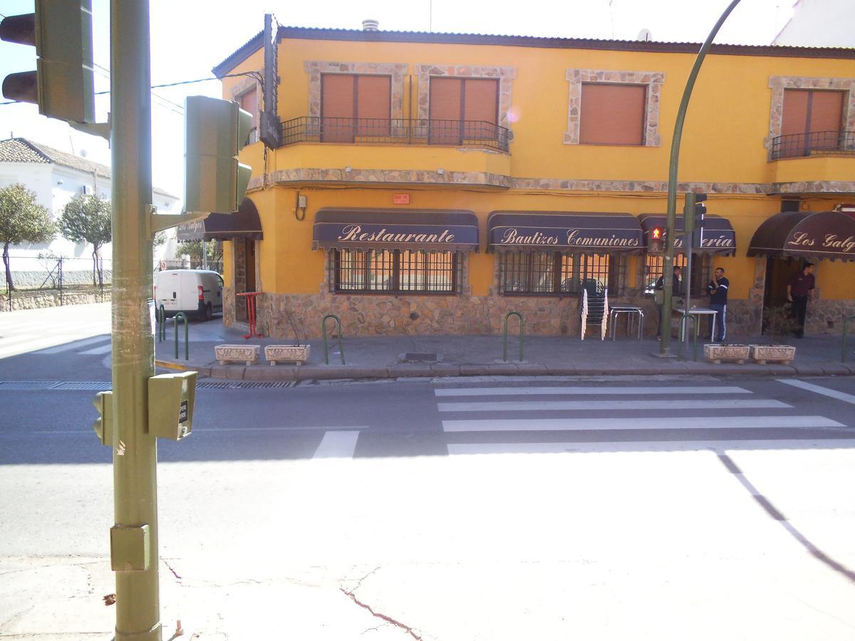 Yepes Hostal Los Galgos מראה חיצוני תמונה
